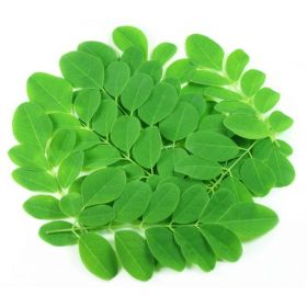 Moringa σκόνη